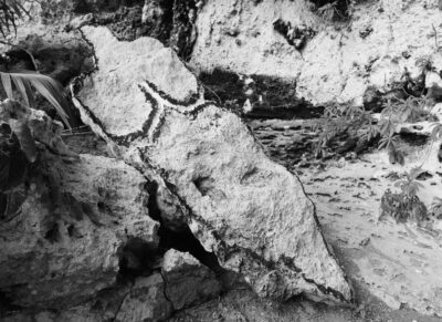 Ana Mendieta - La tierra habla (The Earth Speaks)